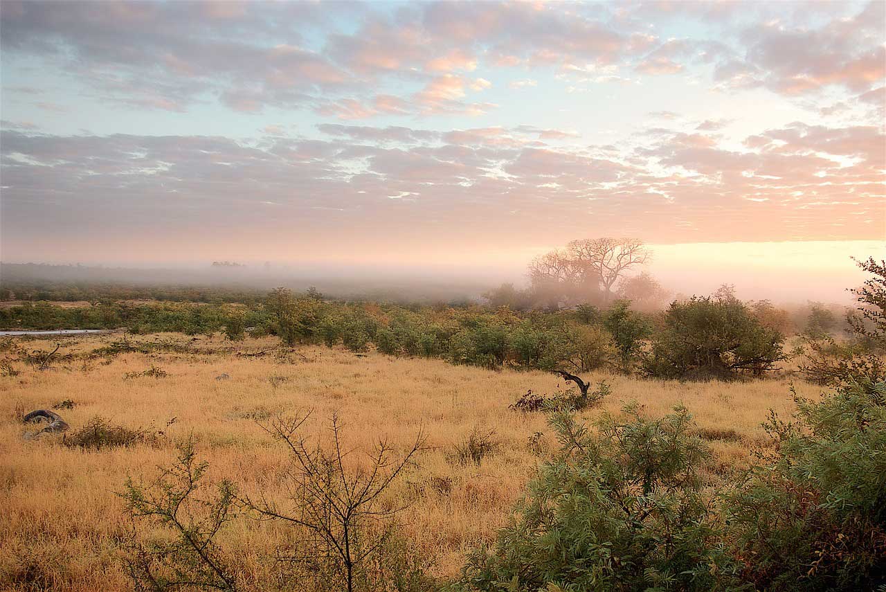 kruger-national-park-01