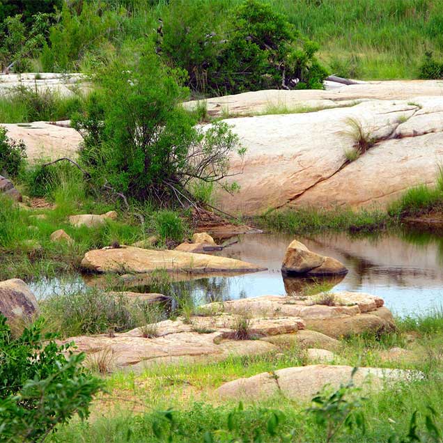 Kruger National Park