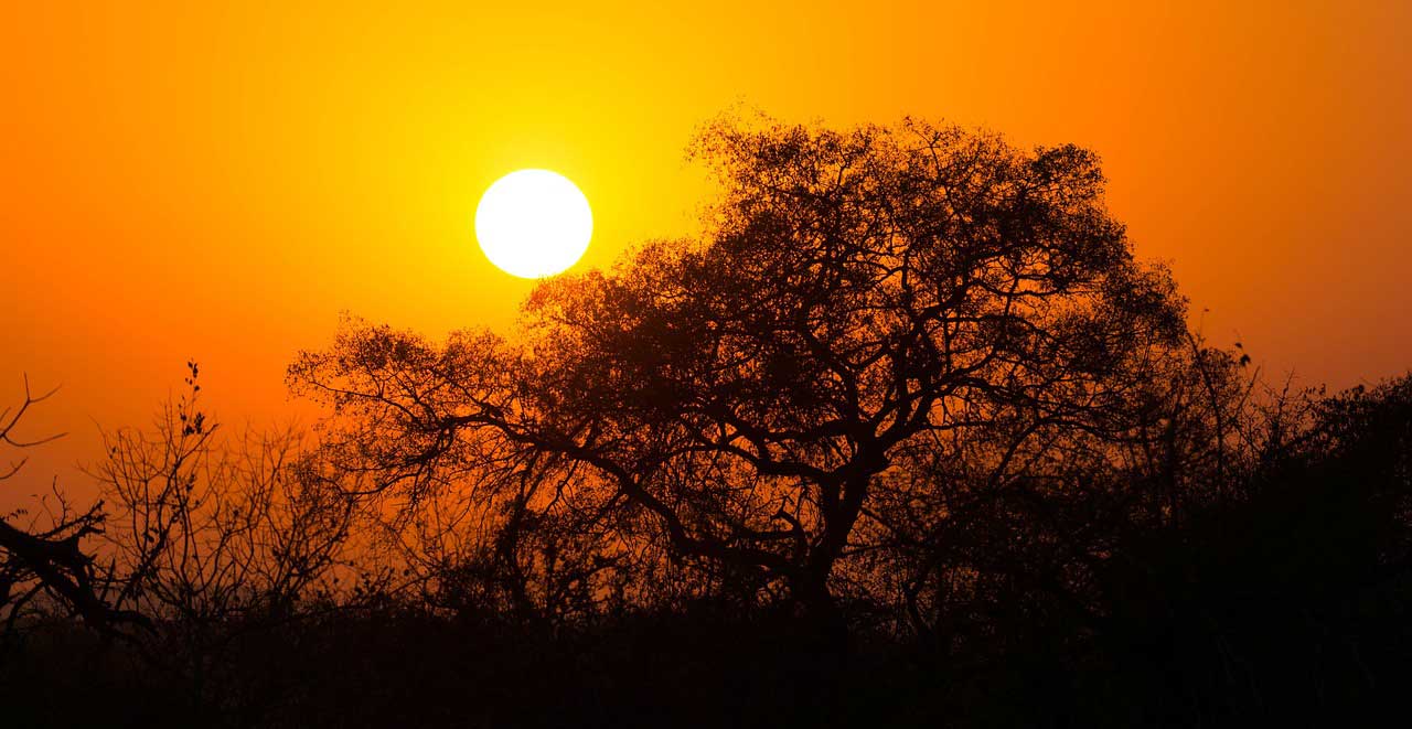 kruger-south-africa