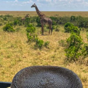 3-Day Maasai Mara Luxury Safari Collection at Emayian