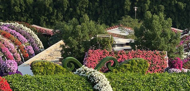 The Miracle Garden