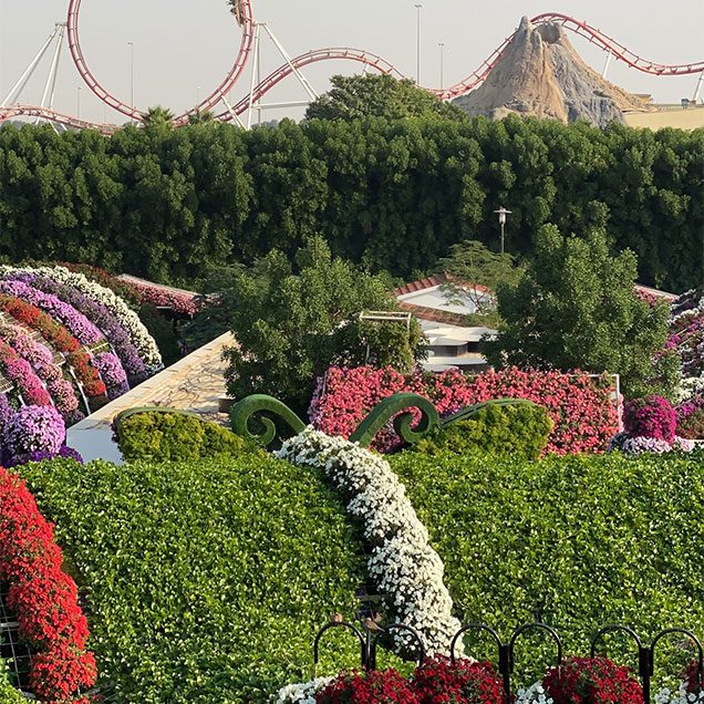 The Miracle Garden