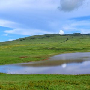 4-Day Lake Manyara NP, Ngorongoro Crater & Serengeti NP Mid-Range Tour